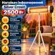Инфракрасный обогреватель Silver Crown 2500 Вт на стойке 287913 фото 1