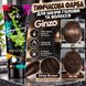 Временная краска Ginzo для кожи головы и волос deep brown (насыщенно-коричневый) Ginzo deep brown фото 1